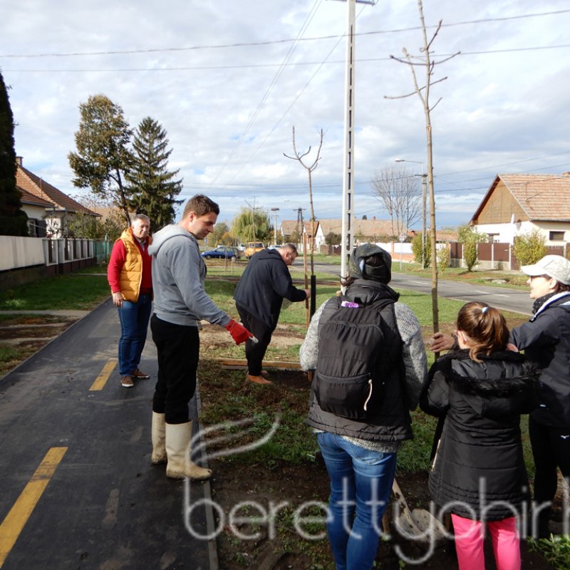 Közösségi faültetés Berettyóújfaluban 30